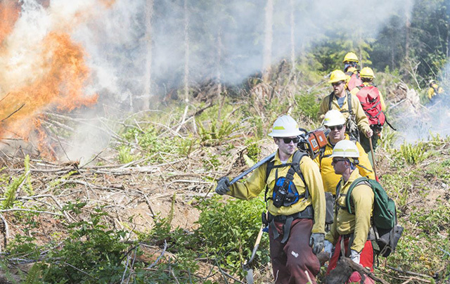 Firefighters walk the fire line during training to respond to wildfires on DNR land near Hamilton, WA. (Photo by Charles Biles/Skagit Valley Herald)
