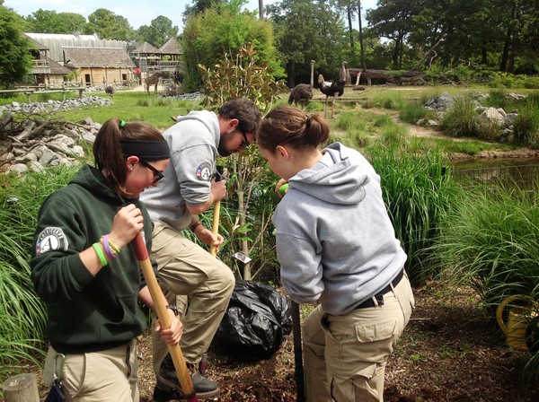 Team leader and two members working in a garden