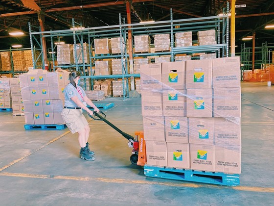 Member pulling pallet of boxes in a warehouse