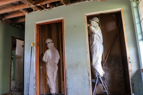 Two members working in side by side closets in a gutted house