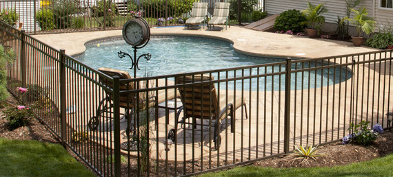 Swimming Pool with Fence 
