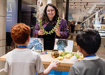 Family Program in Democracy Lab