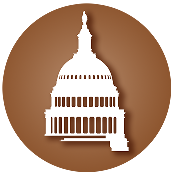 Capitol Icon