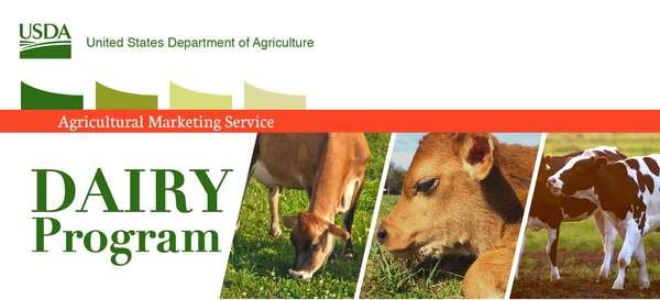 Dairy Program header with cows