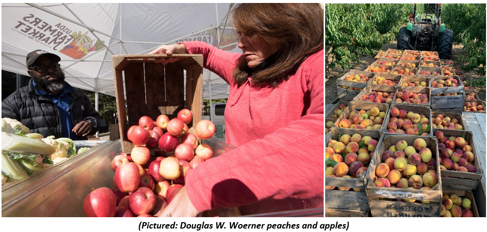 Douglas W. Woerner peaches and apples