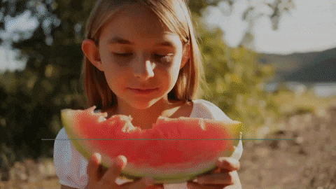 Watermelon GIF