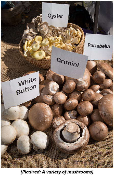 A variety of mushrooms