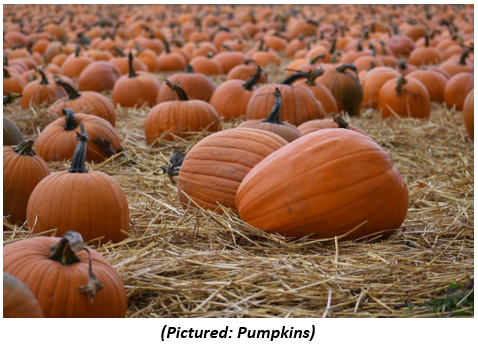 Pumpkins