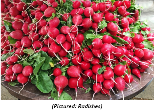 Roasted Radishes with Radish Greens Recipe - Gerard Craft