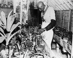 George Washington Carver