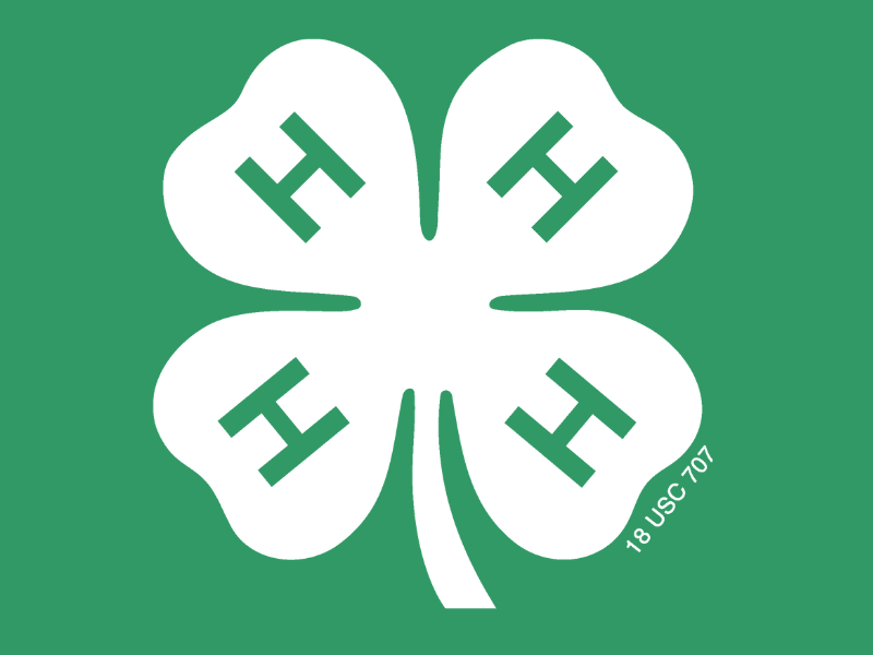 4-H Logo