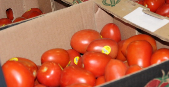 organic tomatoes - port of nogales
