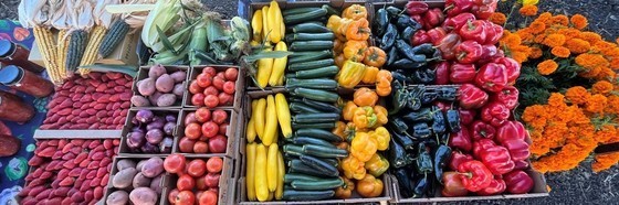 Fruits and vegetables in a farmers market stand