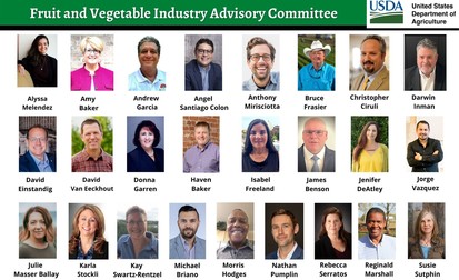 Photo collage of advisory members