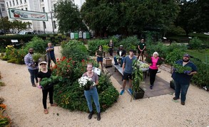 Group of people standing in USDA's The Peoples Garden