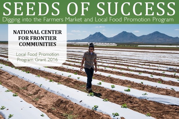 National Center for Frontier Communities Local Food Promotion Program Grant 2016, man walking by lettuce beds on a farm