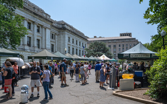 The USDA Farmers Market in operation with various tents and vendors