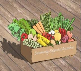 A drawn image of a community supported agriculture (CSA) basket
