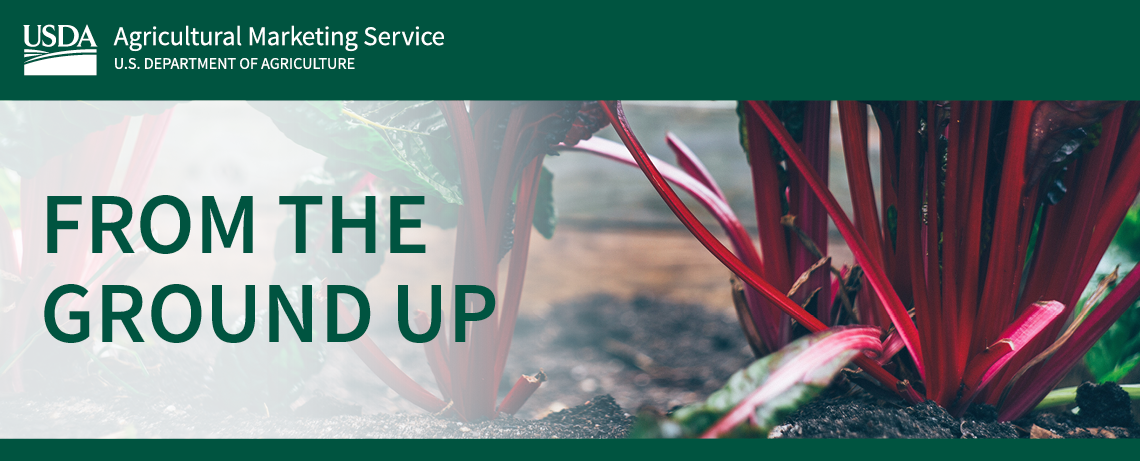 From the ground up newsletter banner with featured image of beet roots sprouting from ground. 