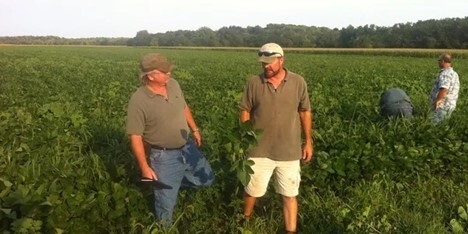 Plains Mentorship farmers in the field