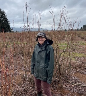Blueberry farmer in Northwest