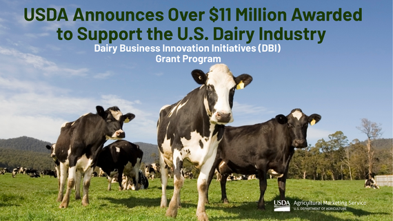 Dairy Business Innovation Initiatives 