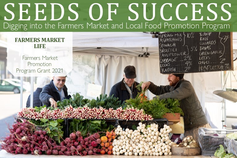 Farmers Market Life Banner