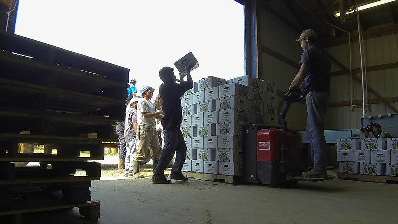 A person loading boxes into a warehouse