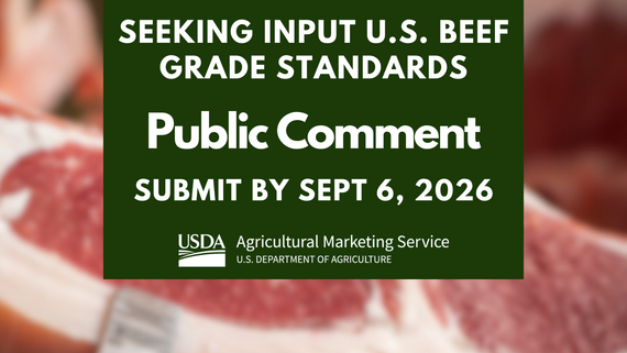 Public Comments Beef Standards