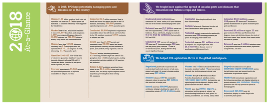 2018 Annual Report Infographic