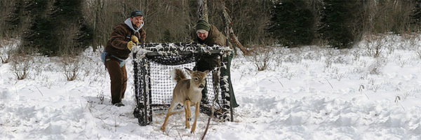 CWD Funding Availability