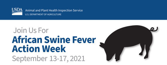 ASF Action Week header - graphic of pig silhouette