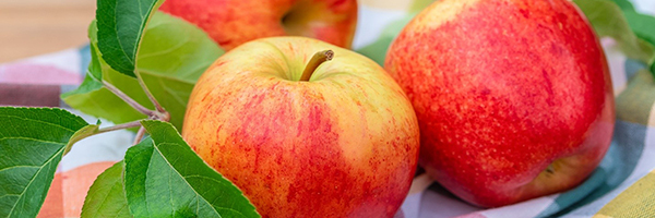 up-close photo of apples