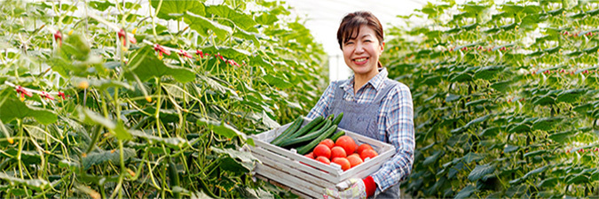 photo of a woman in a greenhouse holding a box of vegetables