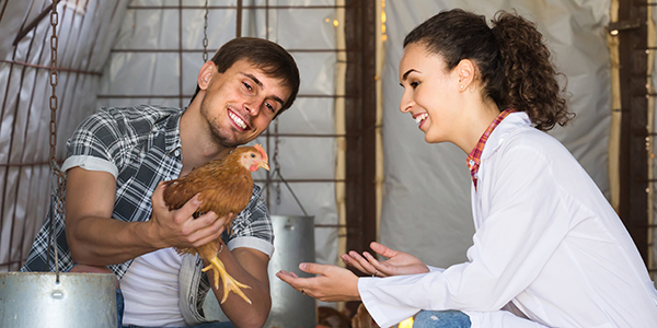Veterinarian talking with backyard poultry owner