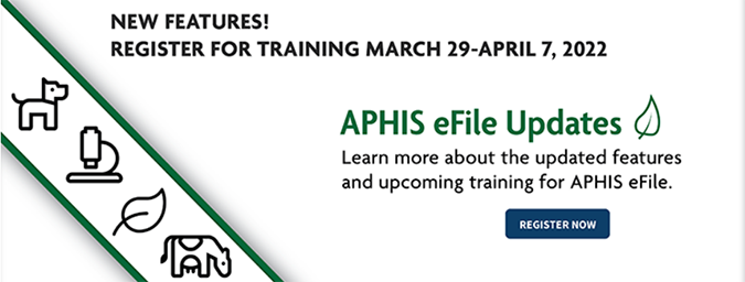 graphic text for eFile training