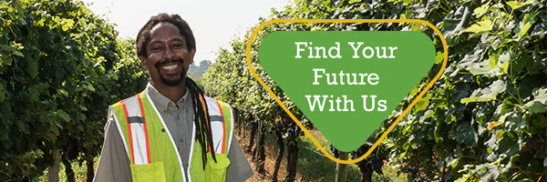 Find Your Future With Us