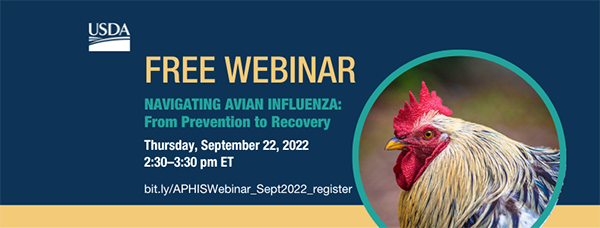 graphic header for webinar with a photo of a chicken