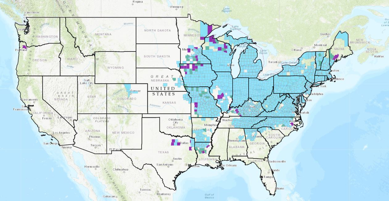 Image of the emerald ash borer infestation in the United States interactive map