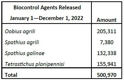 Table showing the type of parasitoid released and the quantity released