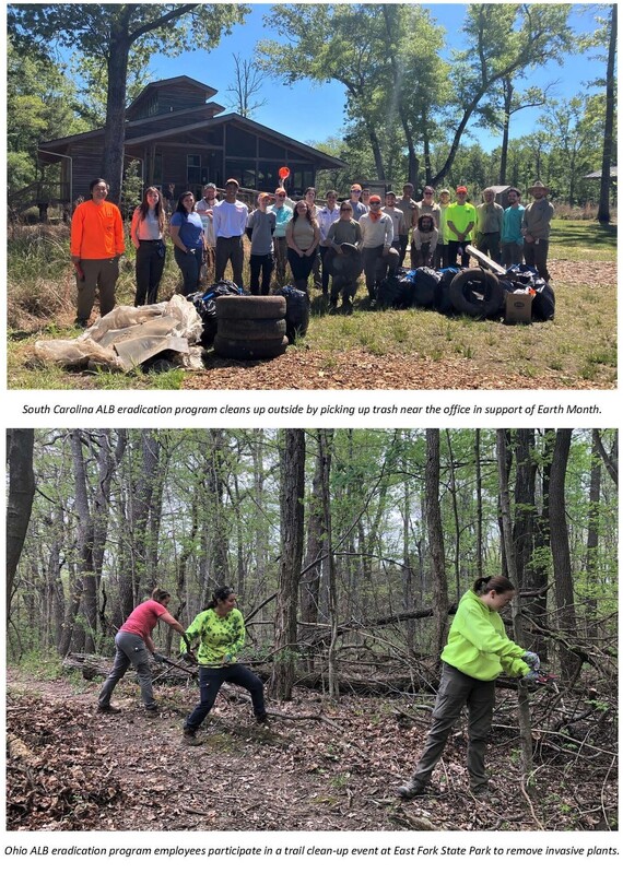 Photos of employees cleaning up outside in support of Earth Day