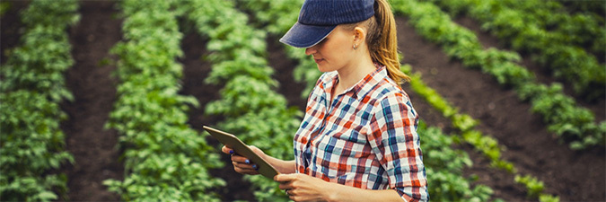 woman wearing a ball cap holding a clipboard in a field of green plants