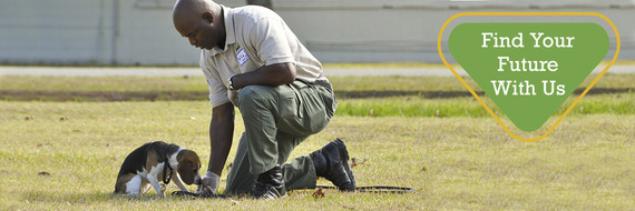 Careers header of a man training a puppy