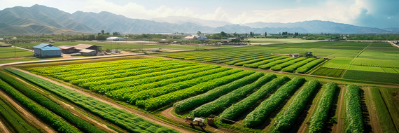 Sprawling agricultural farm with fields of crops
