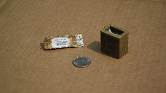 Raboral vaccine baits