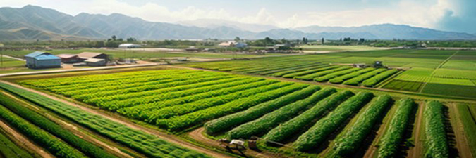 aerial view of a farm