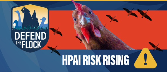 Defend the Flock header