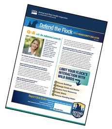 screenshot of Defend the Flock newsletter