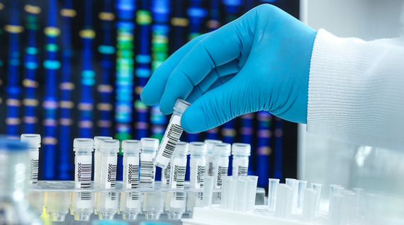 gloved hand holding a test tube