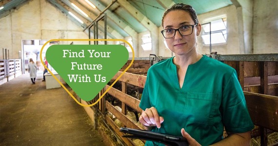 Find Your Future With Us